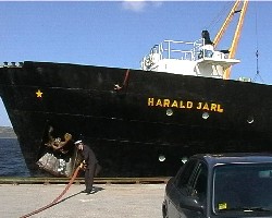 Harald Jarl in Kirkenes